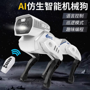 ���J1067B�����b�ؾ��̙Cе������C����aibi�C��������к�
