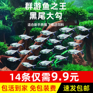 ��β���~Ⱥ���~�ݸ�С�͟Ꭷ�~���w�����~�^�p�~�t�G�����]