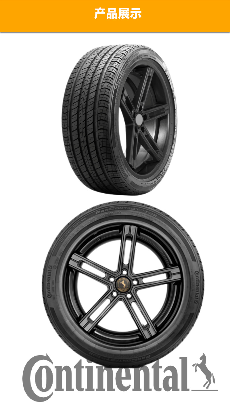 German Continental Summer Tires 305/30R21 104H XL Procrx Nf0