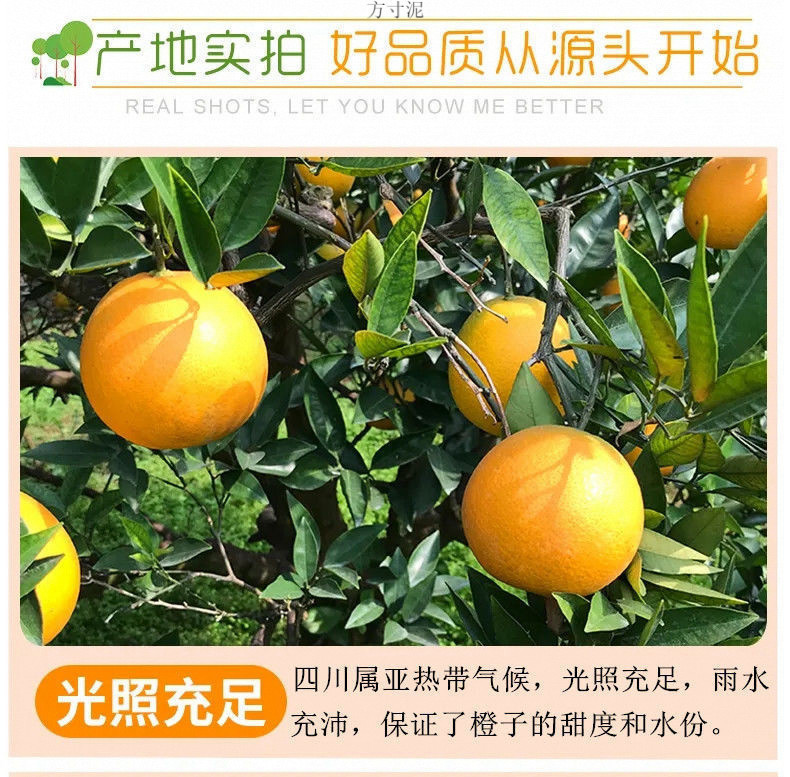 edb3e18b-672e-4273-a5ee-b0058941bf78.jpe