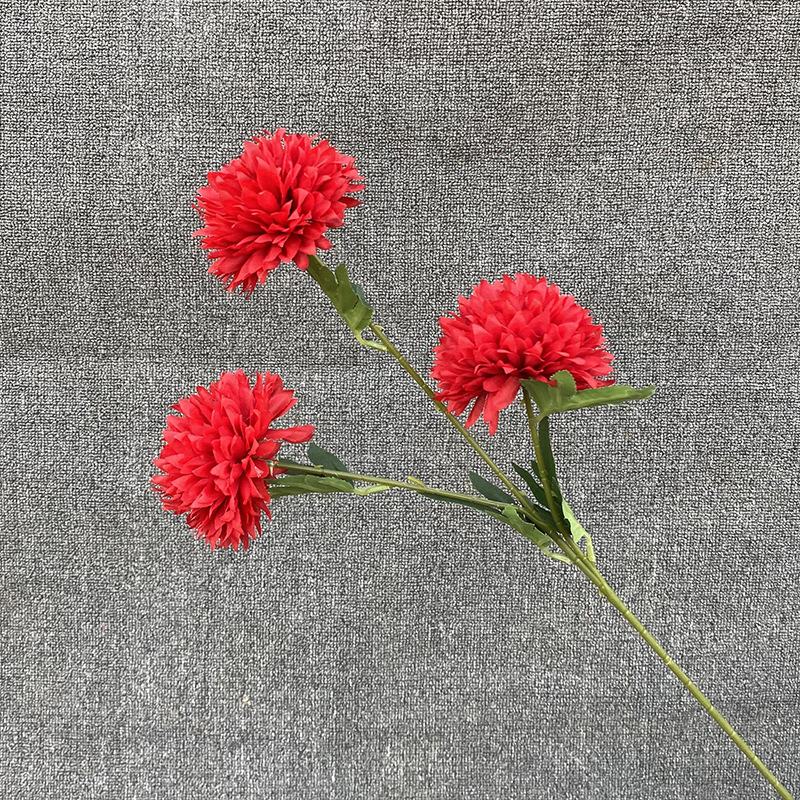 3 Fork Big head dandelion Big Red