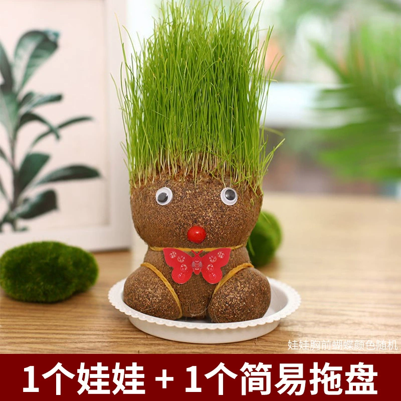 [批发草头娃娃浇水头上长草人绿植长头发儿童好养种草幼儿园桌面小]