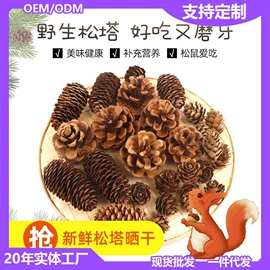仓鼠生活用品;仓鼠玩具;仓鼠零食