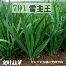 791ѩ�����ó���׸�ԭ�b���²��߲˷N���̨�ˈ@�ļ��߲˷N��