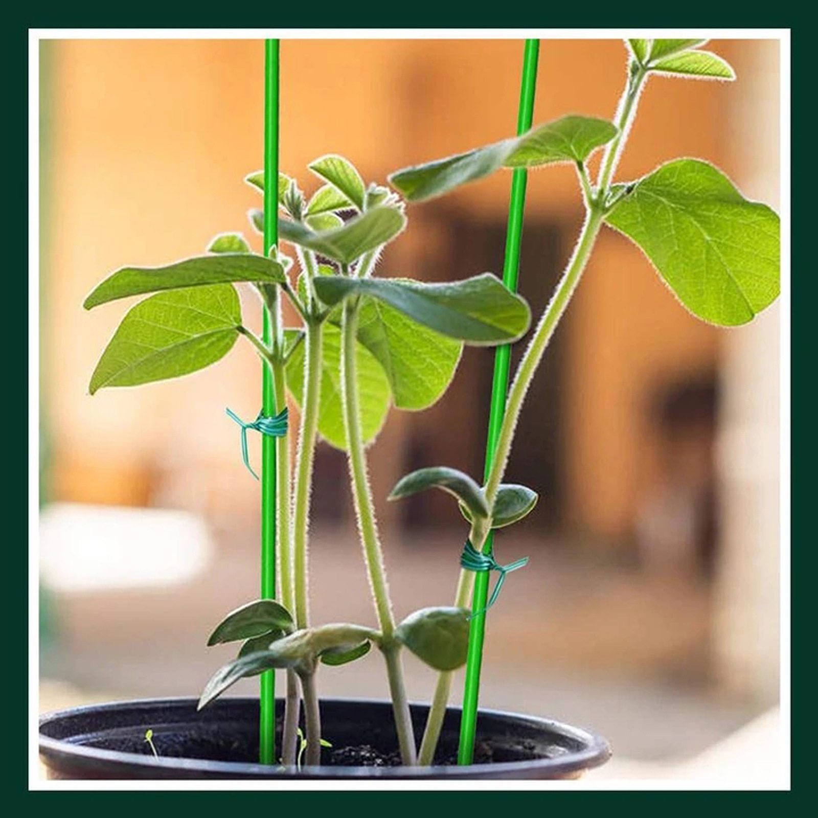 Plant Fixed Rope园林园艺扎带植物绑带 捆绑扎带 蔬菜苗捆绑线-阿里巴巴
