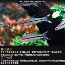 �tüһü�����~���~С�Ͳݸ��^�p�~�Ꭷ��ˮ�����~���w���������~