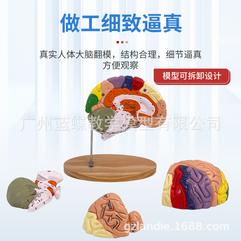 ��ģ���Թ�������ɫ��ģ�� ������Խ���ģ�� ���Զ�����������