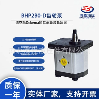 BHP2B0-D齿轮泵 德克玛Dekema同款单联齿轮油泵