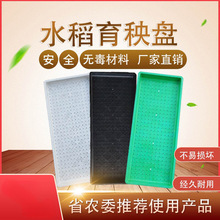 厂家直销塑料硬盘水稻育秧托盘机插秧盘育苗盘平底盘抛秧盘育秧盘