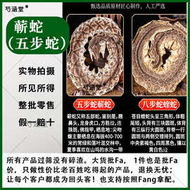 中药材正品蕲蛇 五步蛇干 八步蛇 蕲蛇干 眼镜蛇蝮蛇白花蛇药材