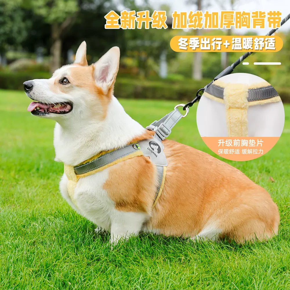秋冬新款加厚毛绒狗狗胸背便携宠物胸背带柔软大中小狗牵引绳通用