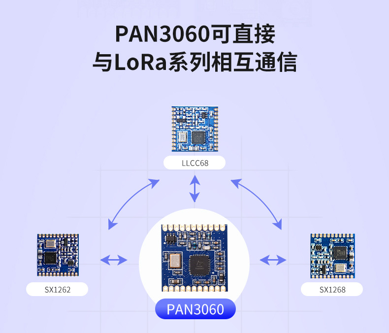 PAN3060ZTR4_02.jpg