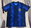 21--22 Inter Milan home court