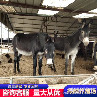 �����H�����l �����B�H�����깩�������H�x �N���H�r��