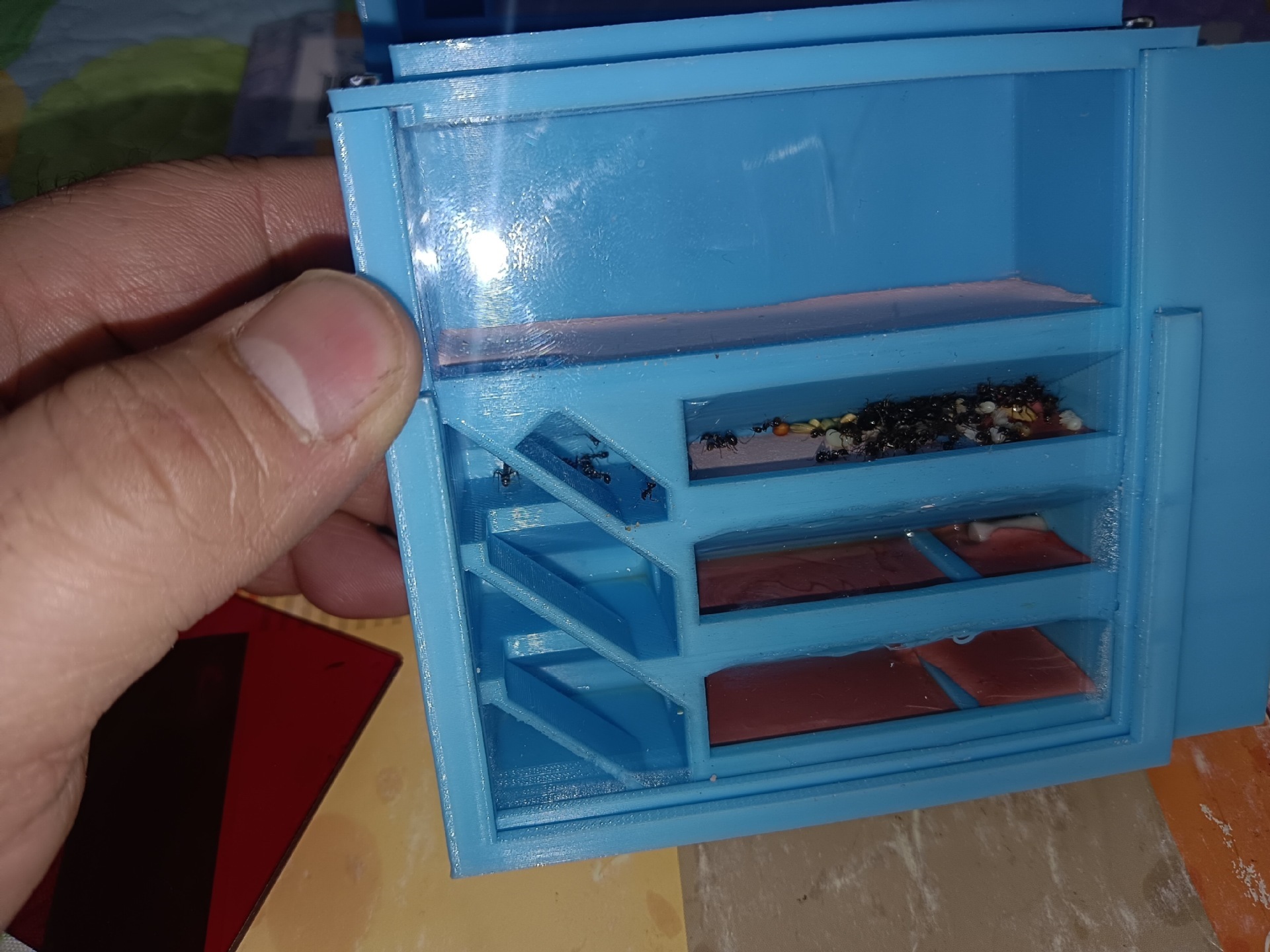 乙木蚂蚁小型立体巢双水塔自动保湿可养大部分种类蚂蚁带