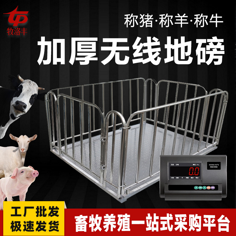 地磅秤称母猪秤围栏防抖动3吨-5吨工业y养殖小型电子地磅称牧洛丰