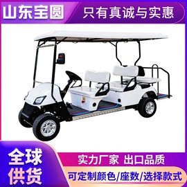 电动观光车;高尔夫球车;其他电动车