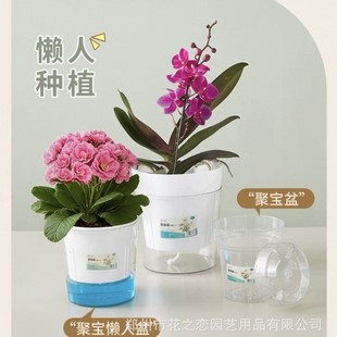 ���s͸�����ϻ�����˷Nֲ�A�ζ๦���҃�ֲ������mʯ���m����