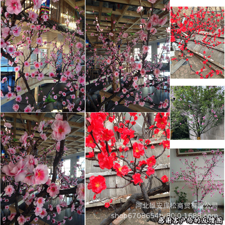 O1CN01SFkBot1T1yXSCSbJb_!!7768