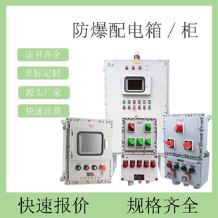 Explosion-proof distribution box control distribution cabinet lighting maintenance power box 304 stainless steel explosion-proof socket box junction box