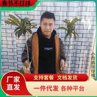 һ�����l���˘�����ش����������˘�������ǰ��������������