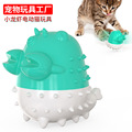 宠物用品工厂家批发公司新品爆款亚马逊猫牙刷猫咪玩具自嗨逗猫球
