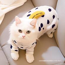 小猫咪衣服四脚夏季防掉毛宠物蓝猫布偶母猫服装春秋款银渐层纯棉