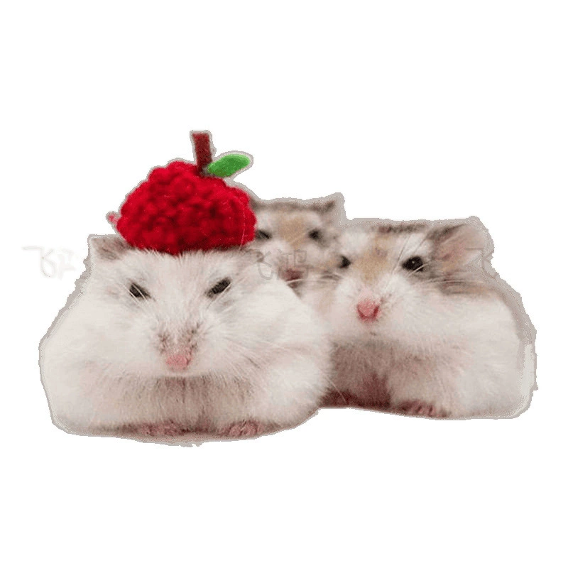 Хомячок живой питомец трехрядный фиолетовый ствол пудинг золотой шелковистый медведь хомячок малыш щенок живой Джианканг пара