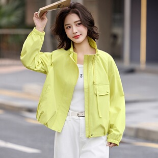 �n�����I������Ů����2026�¿�����eС���ӹ��b�A�˰��������