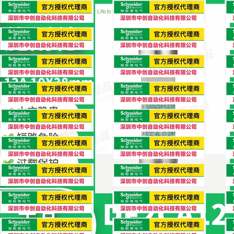 优惠DF2CA12施 耐  德熔断器保险丝芯子慢熔aM,RT28-32型10X38mm1