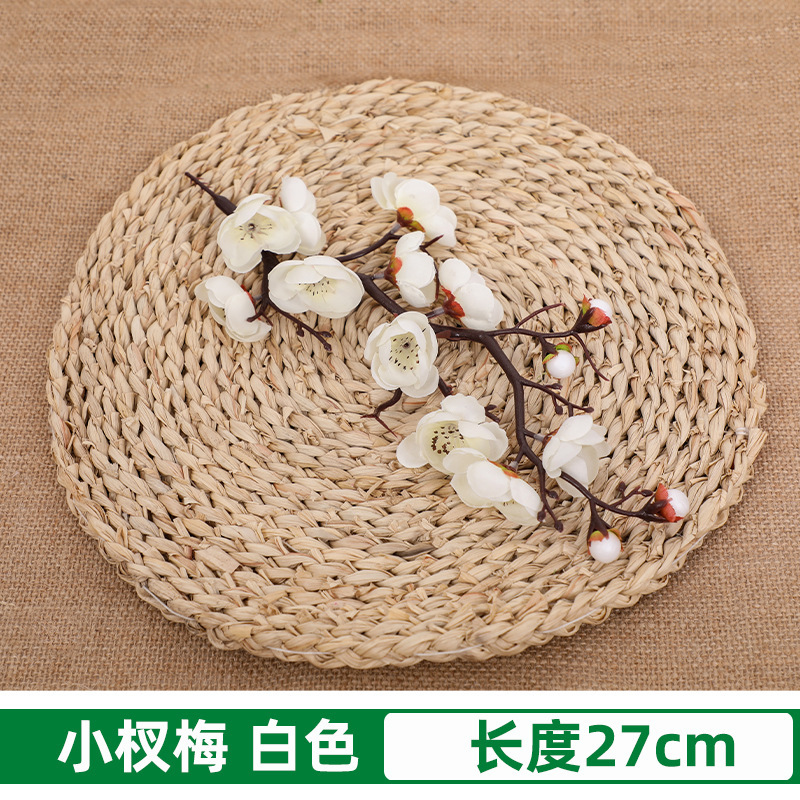 흰색 작은 자두