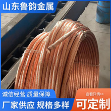 接地裸铜包钢绞线覆铜接地钢绞线桥梁钢索连接镀铜钢绞线导电接地