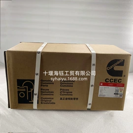 其他发动系统;油泵、油嘴;活塞/活塞环