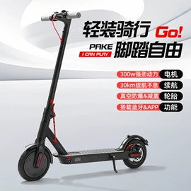 电动滑板车;电动三轮车;其他电动车