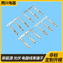 �t�������㽶�����㽶�Ӿ������㽶�������\�㽶�^���^���\����