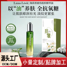 �����㾫�A�������o�����o���w�����B�w���y�����������沿���A��