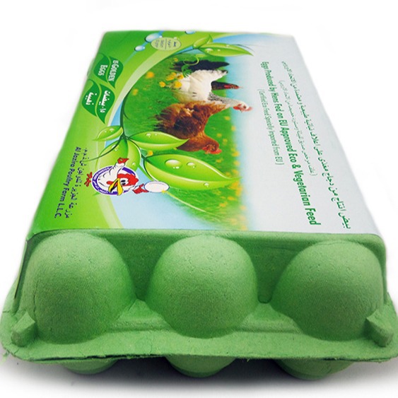 Orden de fábrica 15 cajas de huevos a prueba de humedad respetuoso del medio ambiente pulpa degradable moldeada bandeja de papel caja de embalaje bandeja de huevo del suelo