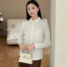 2025冬装新款修身长袖女衬衫翻领上衣打底衫洋气小衫9612