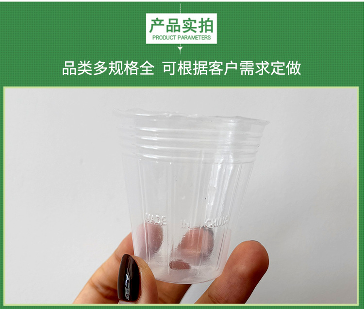 兰花杯,透明花盆,蝴蝶兰花盆