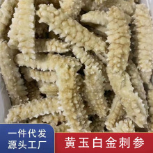 工厂货源 印尼刺王海参非印尼淡干海参 黄玉白金刺参即食海参500g