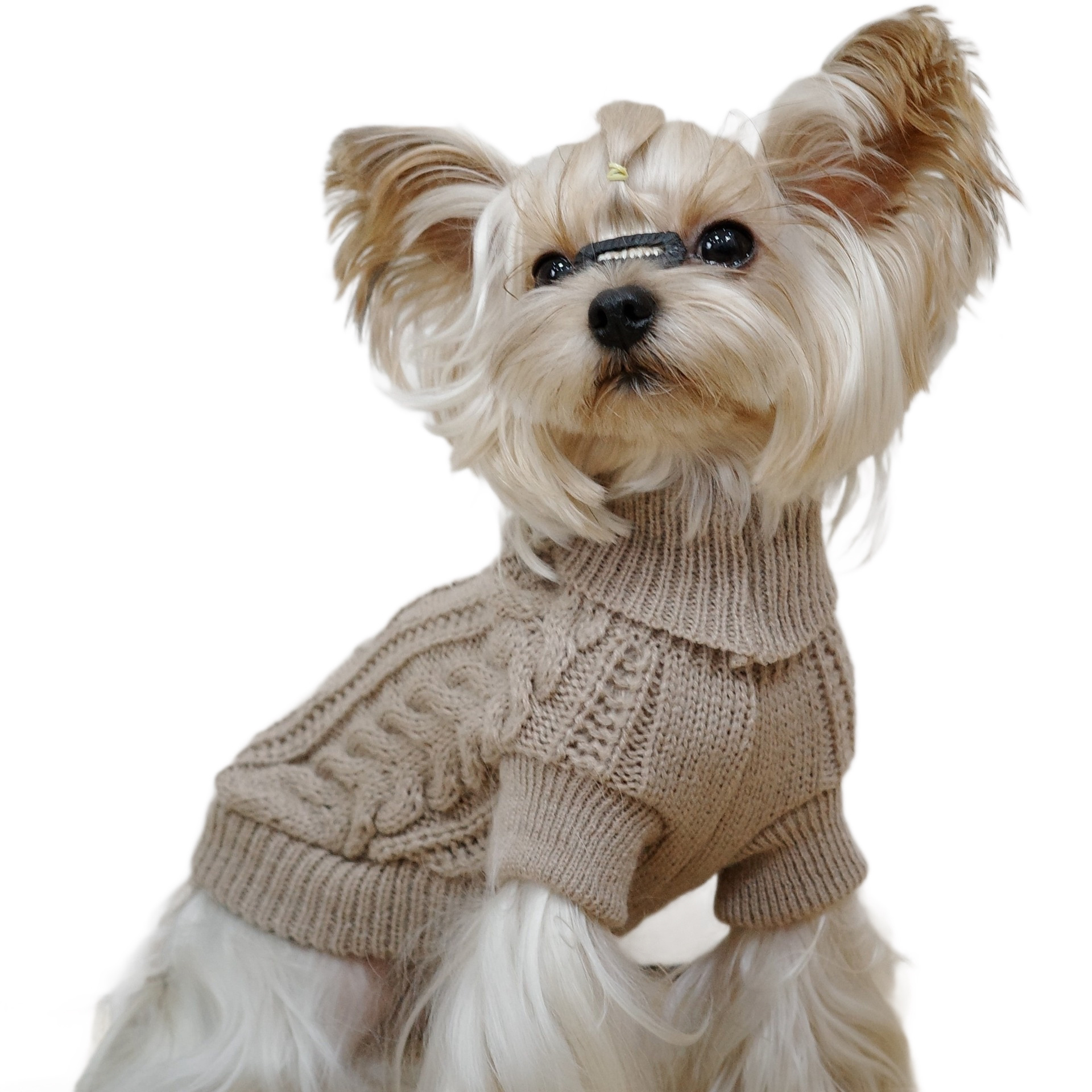 犬のセーター秋と冬ニットツイスト暖かいペット服小型犬テディビションヨークシャー服