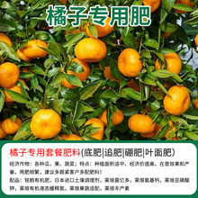 厂家批发橘子专用有机肥底肥追肥缓释肥微量元素果树苗颗粒叶面肥