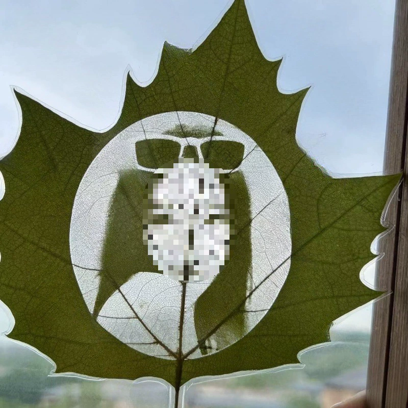 Видеотрансляция Jie Douyin: безопасная сушка листьев, обработка растений, лазерная гравировка, фотоузоры, резьба по листьям, материалы для творчества.