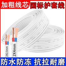 电线室内家用护套线2芯线平行线2.5/4平方室外防冻插座照明电源线