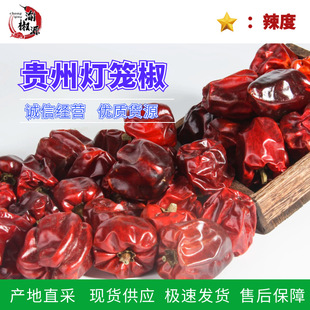 �F�ݟ��\�������� �����������a��ֱ�I΢�������������C�{ζ��