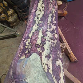 现货赛州黄檀原木 黄檀木密度高 油性好适用于家具工艺品料