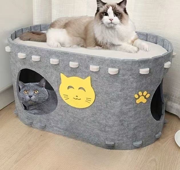 그레이(고양이 머리 포함)