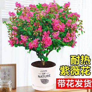 ��ޱ�����玧�����ռt�Ϙ������҃����͟Ứ�ܾGֲ���̨ͥԺ���B