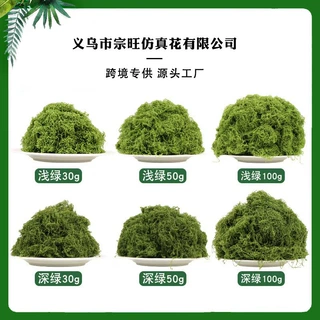 苔藓丝毛线苔藓 盆景铺面绿植装饰丝状假苔藓diy人造青苔藓