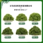 人造毛线绿植盆景苔藓